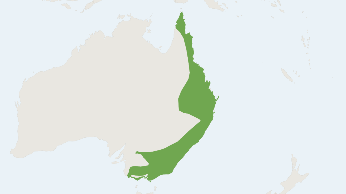 Range map of the Feathertail Glider (Acrobates pygmaeus)