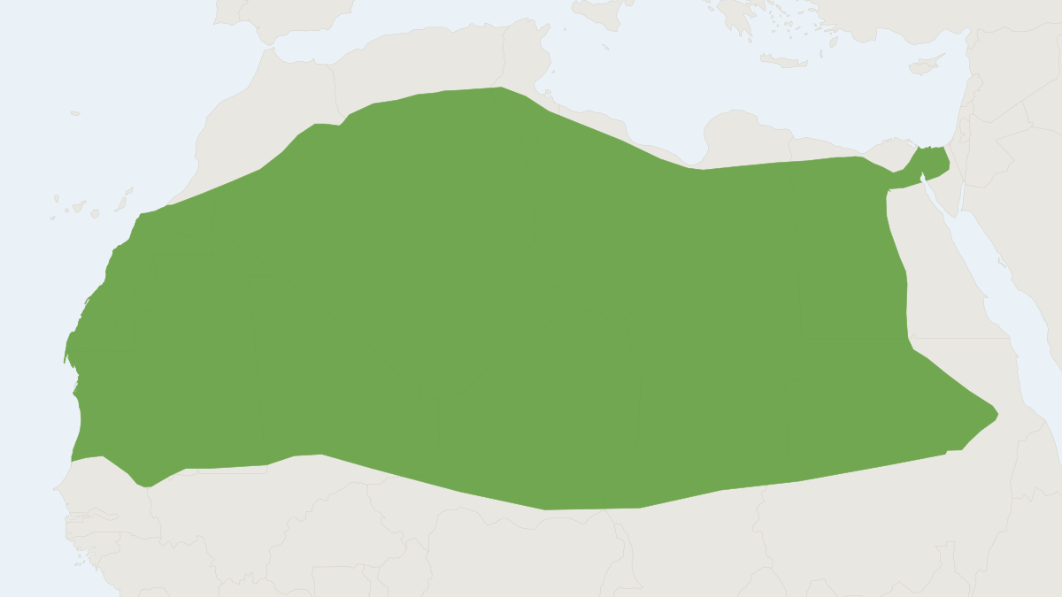 Range map of the Fennec Fox (Vulpes zerda) covering Algeria, Chad and Egypt