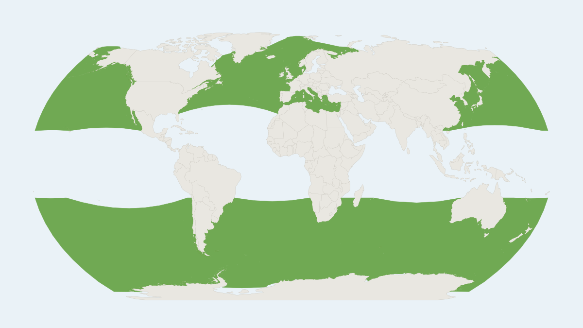 Range map of the Fin Whale (Balaenoptera physalus) covering Greenland, Iceland and Norway