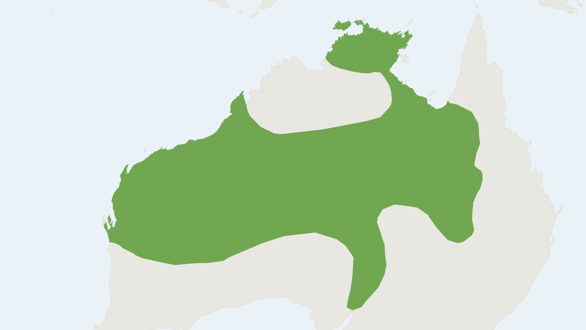 Range map of the Finlayson's Cave Bat (Vespadelus finlaysoni)