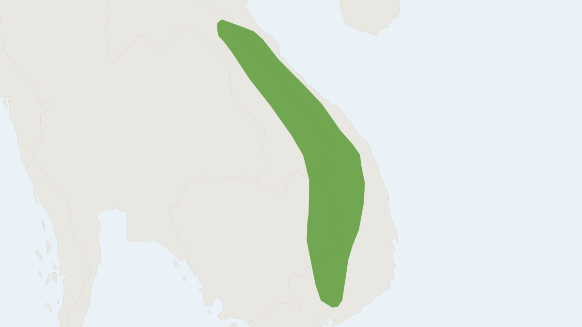 Range map of the Fiona’s Tube-nosed Bat (Murina fionae)