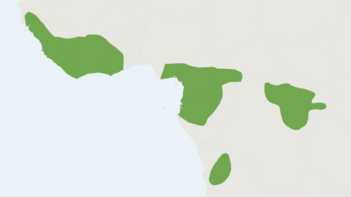 Range map of the Fire-footed Rope Squirrel (Funisciurus pyrropus)