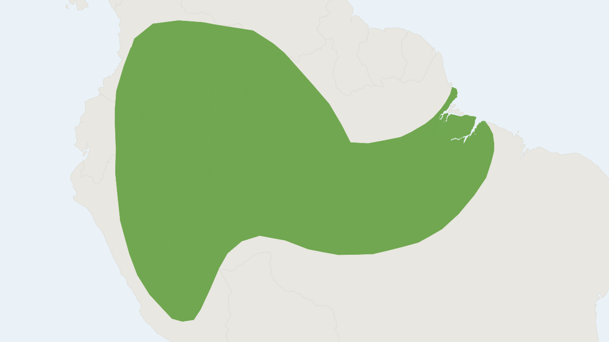 Range map of the Fischer's Little Fruit Bat (Rhinophylla fischerae)