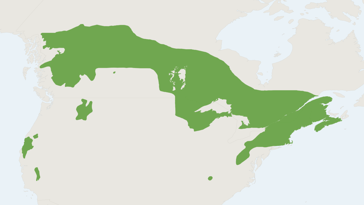 Range map of the Fisher (Martes pennanti)