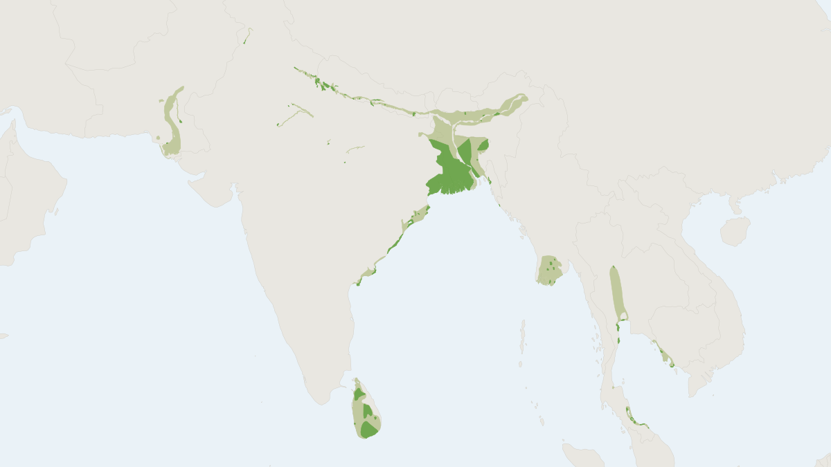 Range map of the Fishing Cat (Prionailurus viverrinus) covering Bangladesh, Cambodia and India