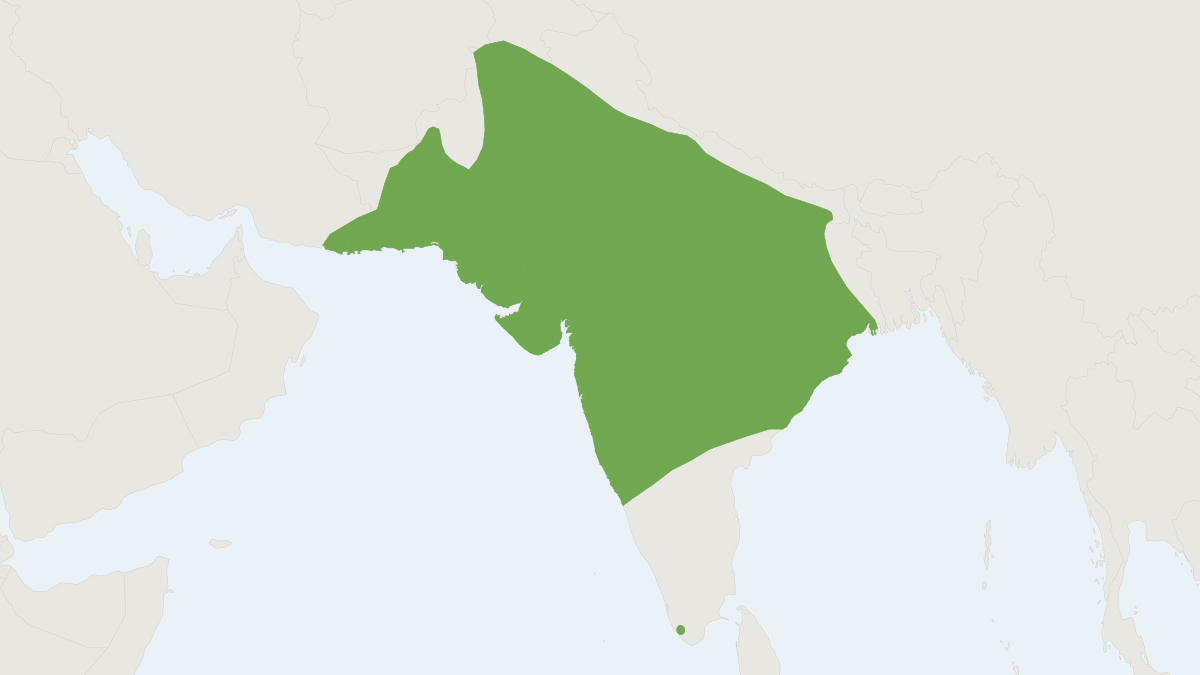 Range map of the Five-striped Palm Squirrel (Funambulus pennantii)