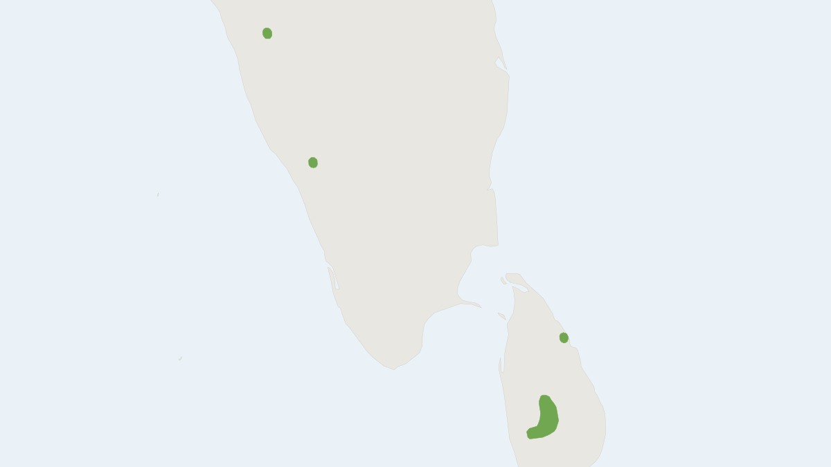 Range map of the Flat-headed Woolly Bat (Kerivoula crypta)