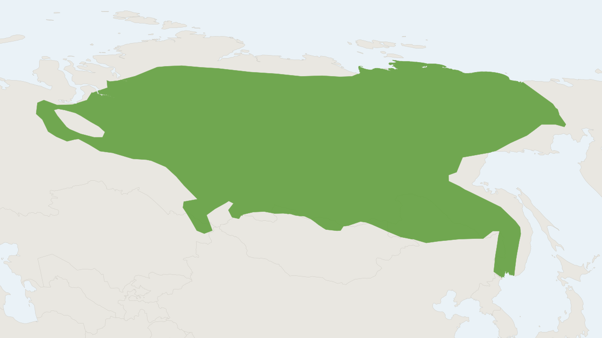 Range map of the Flat-skulled Shrew (Sorex roboratus)