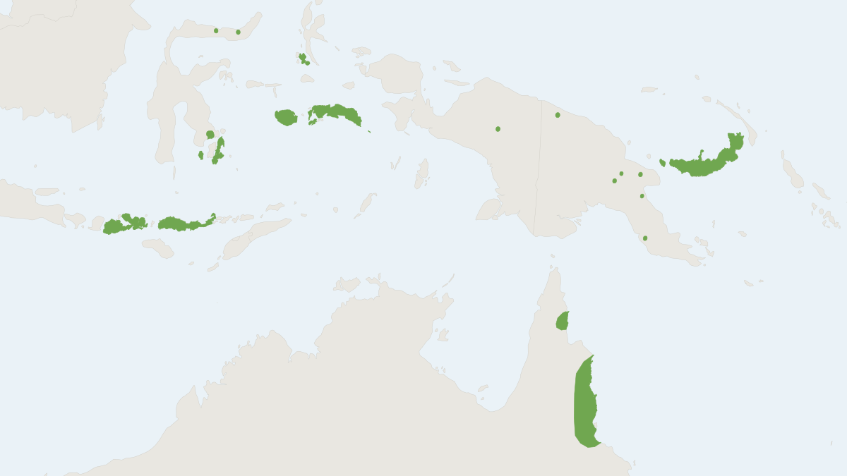 Range map of the Flute-nosed Bat (Murina florium)