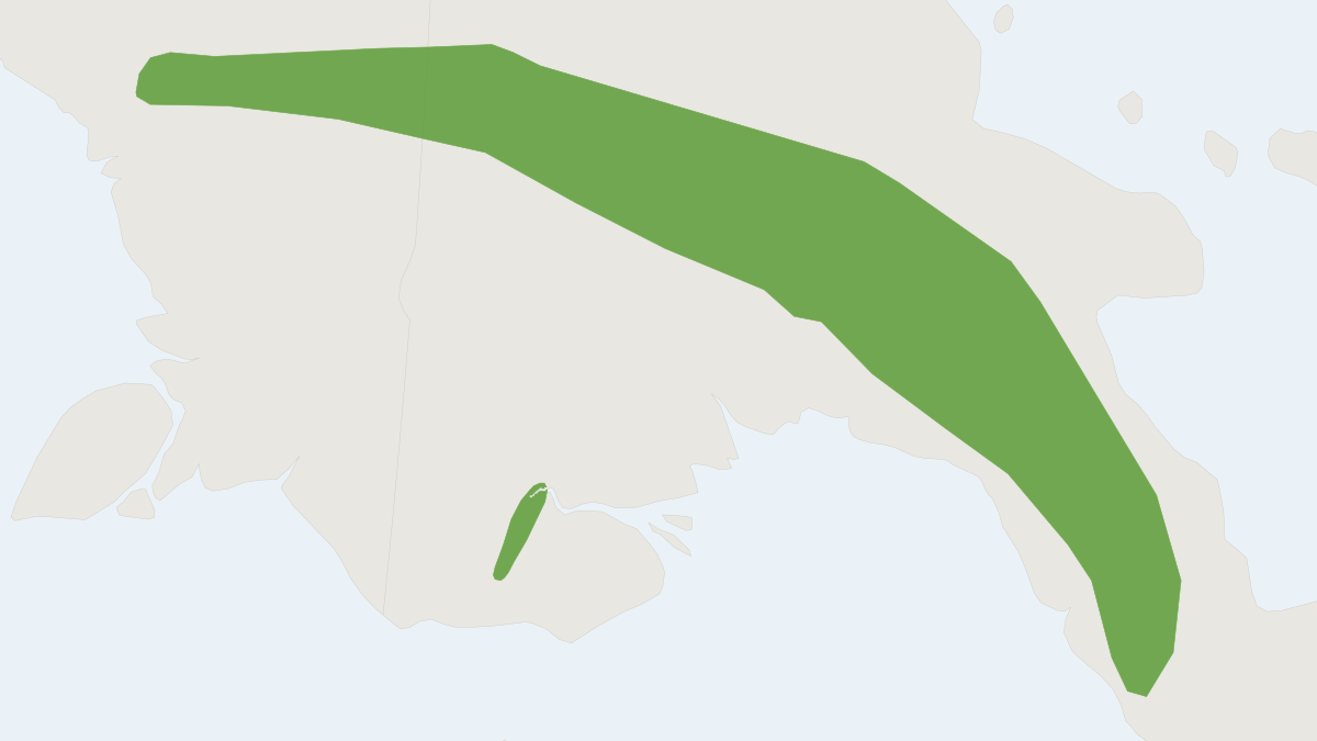 Range map of the Fly River Leaf-nosed Bat (Hipposideros muscinus)