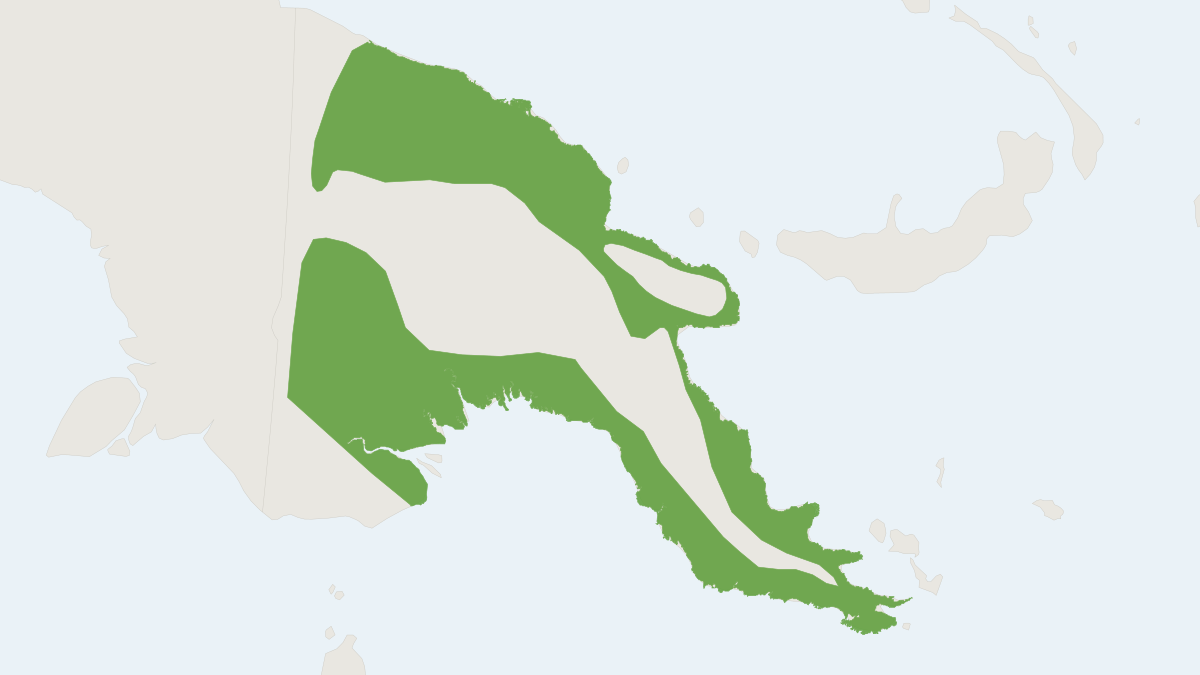 Range map of the Fly River Woolly Bat (Kerivoula muscina)