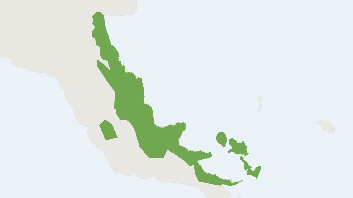 Range map of the Forbes's Tree Mouse (Chiruromys forbesi) covering Indonesia and Papua New Guinea