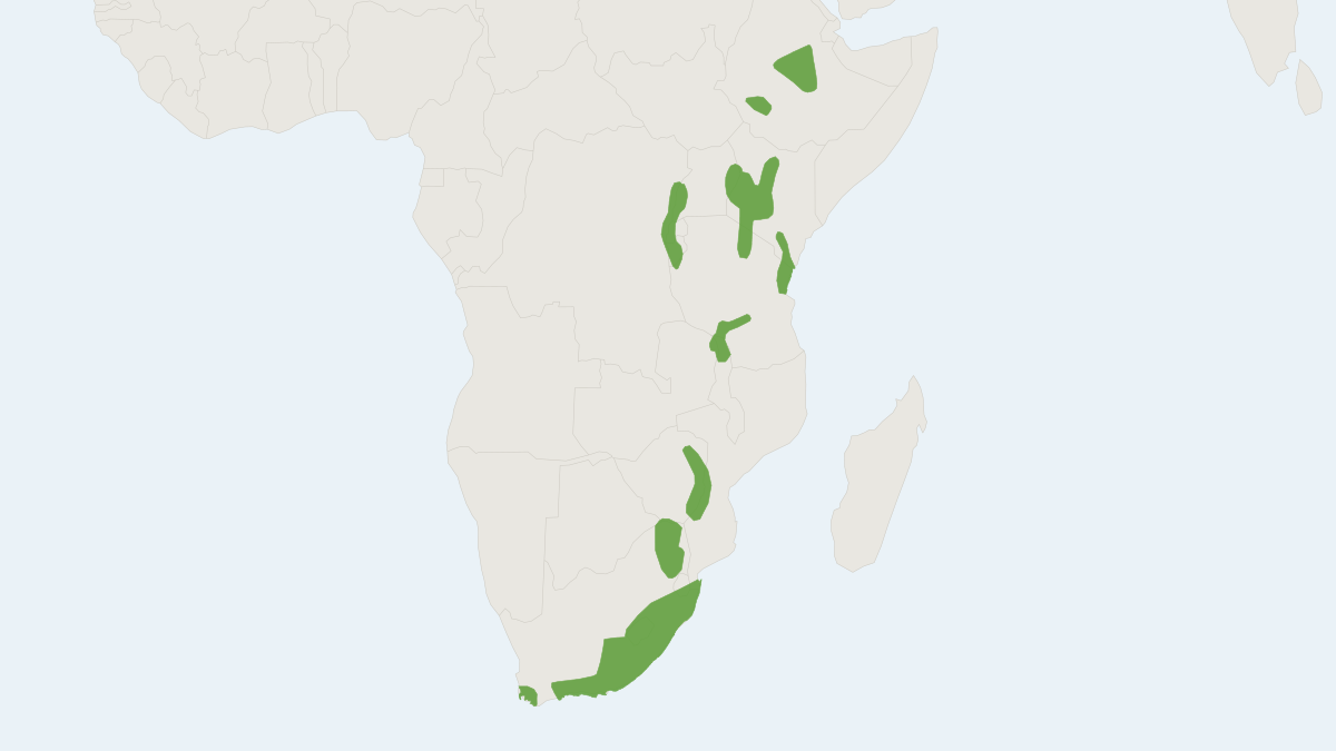 Range map of the Forest African Dormouse (Graphiurus murinus)
