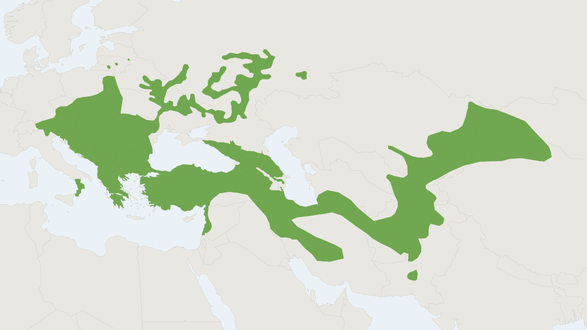 Range map of the Forest Dormouse (Dryomys nitedula)
