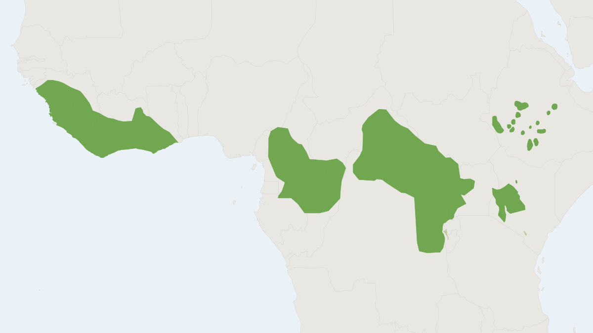 Range map of the Forest Hog (Hylochoerus meinertzhageni)