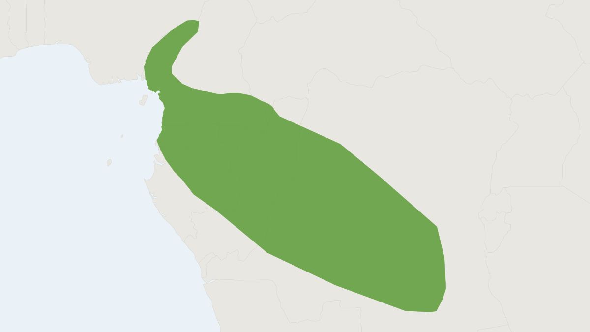 Range map of the Forest Musk Shrew (Sylvisorex ollula)