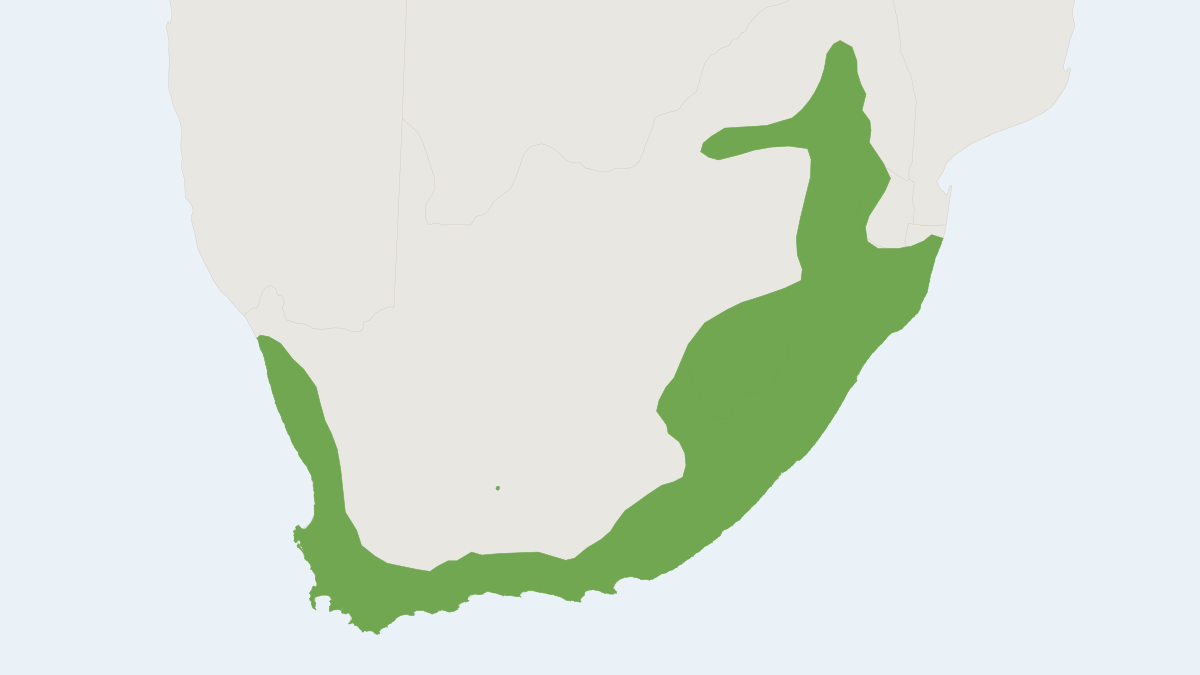 Range map of the Forest Shrew (Myosorex varius)