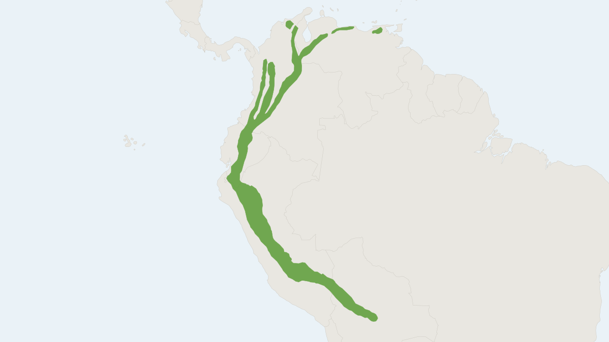 Range map of the Forest Small Rice Rat (Microryzomys minutus)