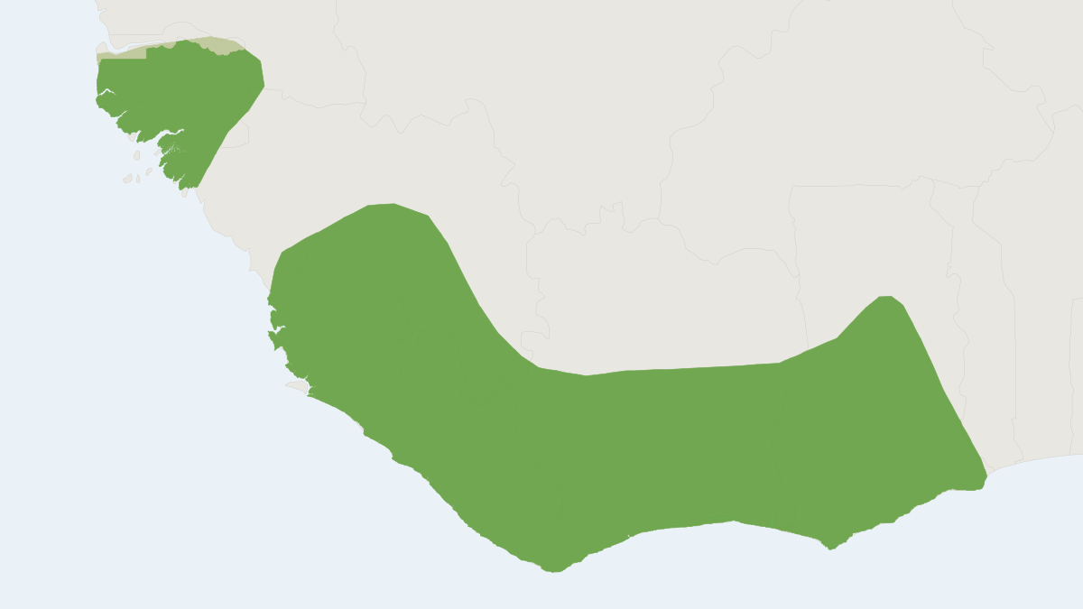 Range map of the Forest Soft-furred Mouse (Praomys rostratus)