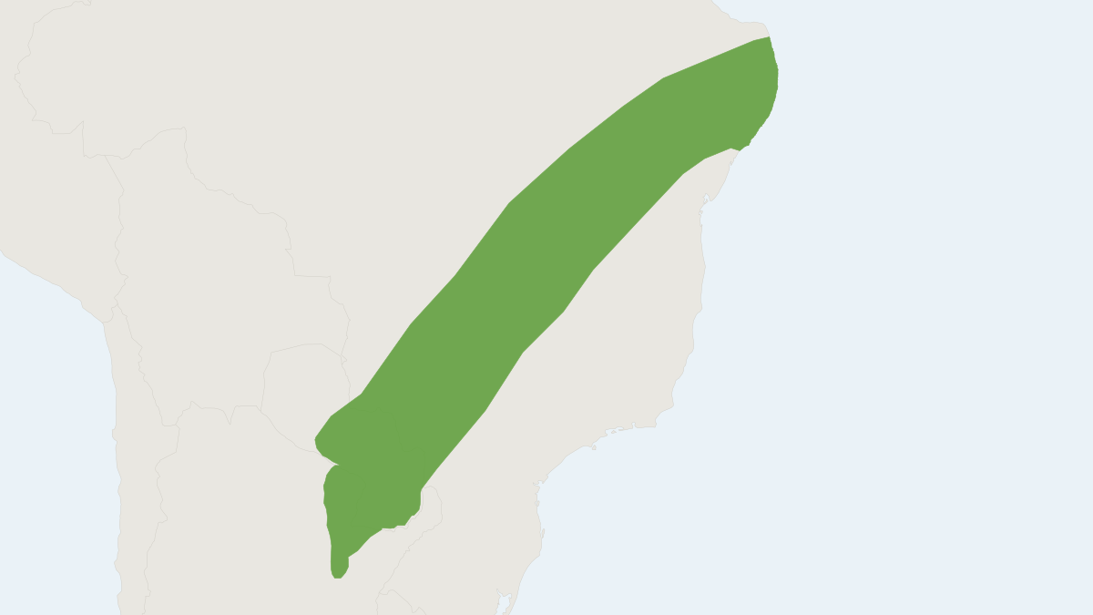Range map of the Fornes’ Colilargo (Oligoryzomys fornesi)