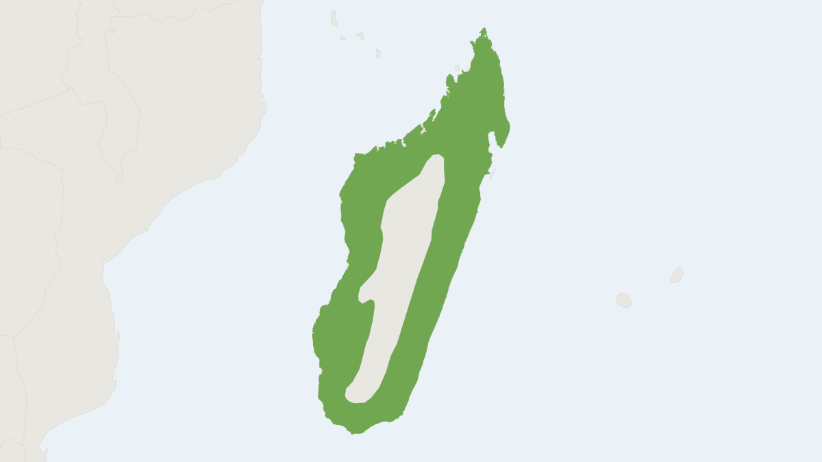 Range map of the Fossa (Cryptoprocta ferox) covering Madagascar