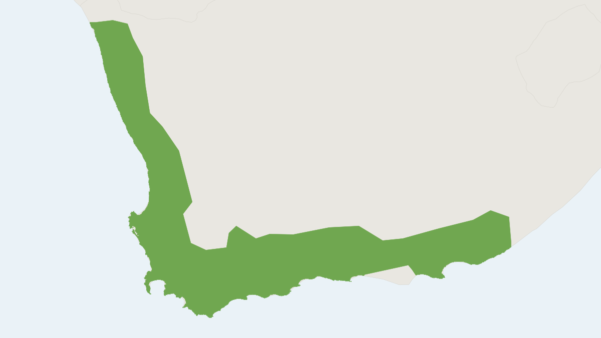 Range map of the Four-striped Grass Mouse (Rhabdomys pumilio)