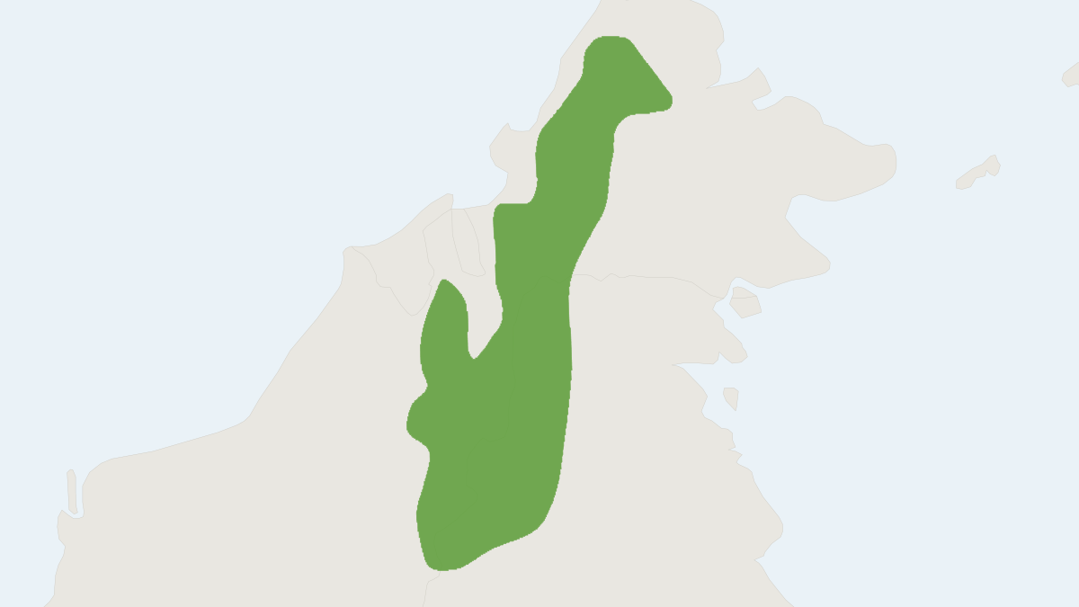 Range map of the Four-striped Ground Squirrel (Lariscus hosei)