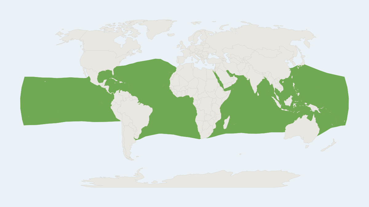 Range map of the Fraser's Dolphin (Lagenodelphis hosei)