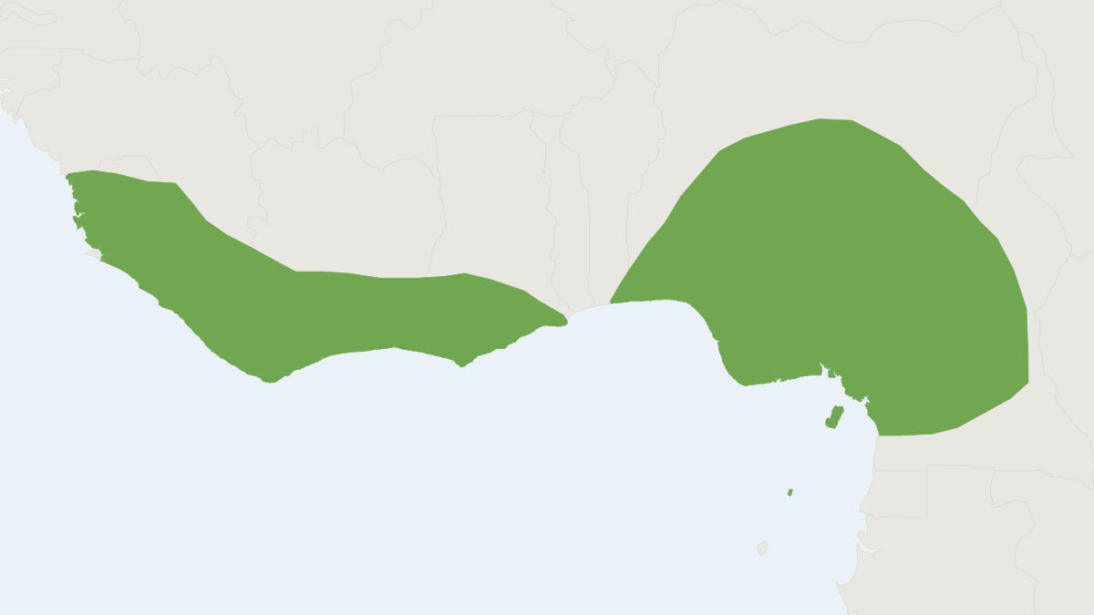 Range map of the Fraser's Musk Shrew (Crocidura poensis)