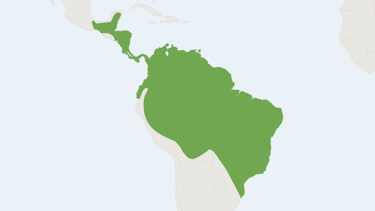 Range map of the Fringe-lipped Bat (Trachops cirrhosus)