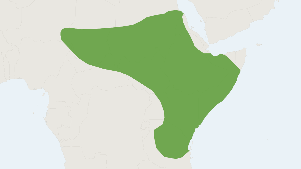 Range map of the Fringe-tailed Gerbil (Gerbilliscus robustus)
