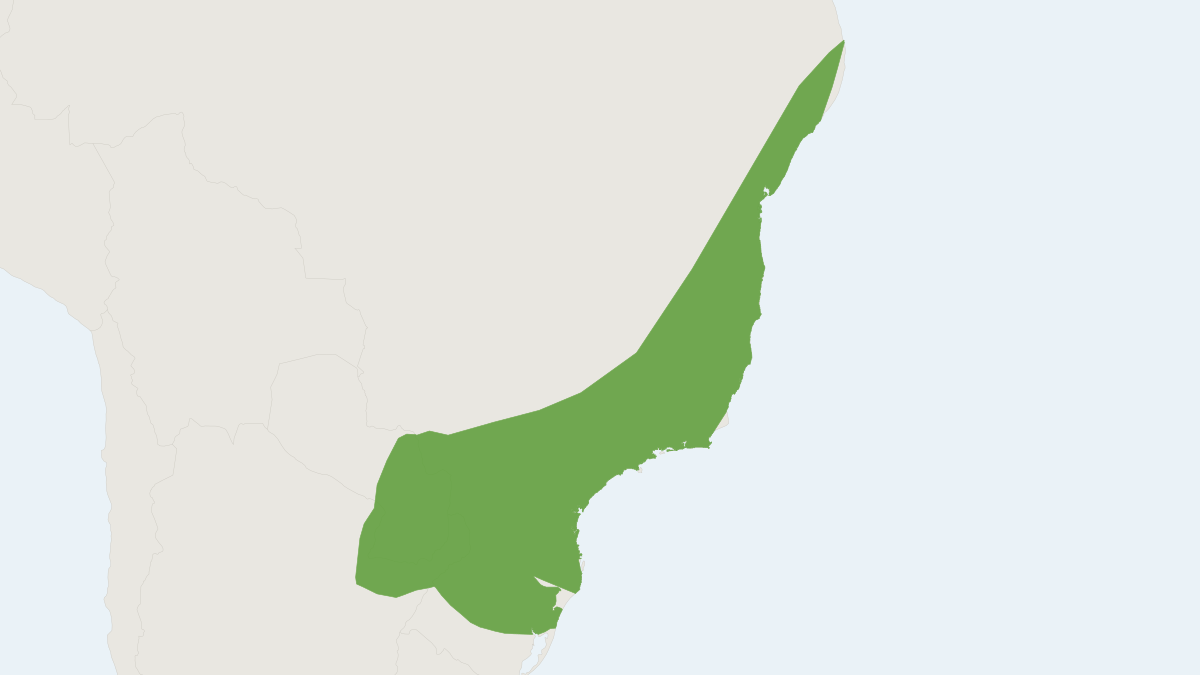 Range map of the Fringed Fruit-eating Bat (Artibeus fimbriatus) covering Argentina, Brazil and Paraguay