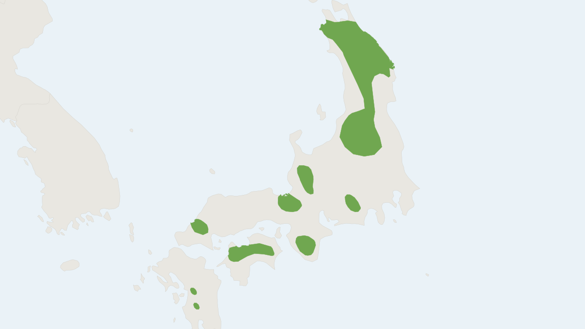 Range map of the Frosted Myotis (Myotis pruinosus)