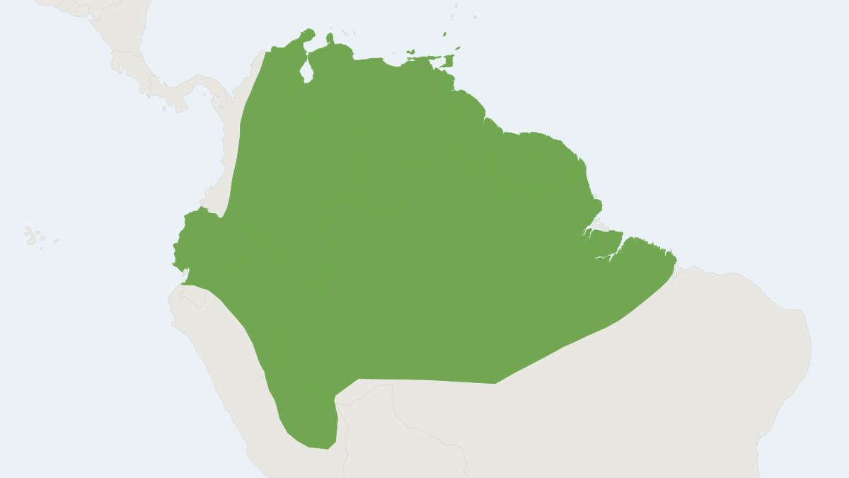 Range map of the Frosted Sac-winged Bat (Saccopteryx canescens)