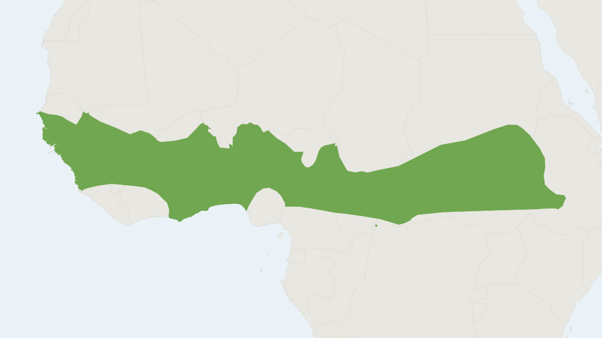 Range map of the Gambian Epauletted Fruit Bat (Epomophorus gambianus)