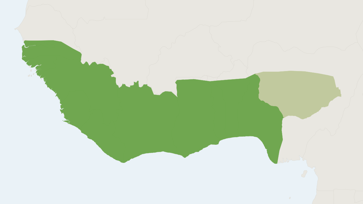 Range map of the Gambian Mongoose (Mungos gambianus)