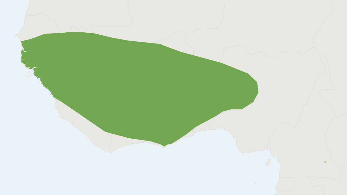 Range map of the Gambian Slit-faced Bat (Nycteris gambiensis)