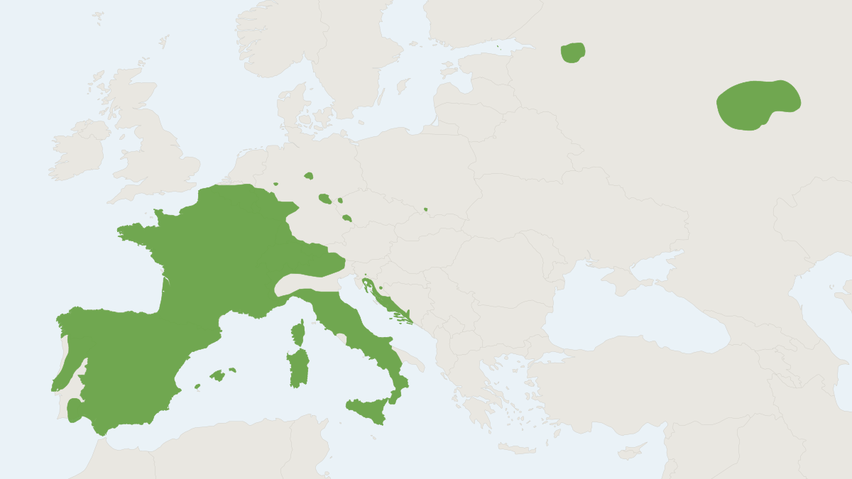 Range map of the Garden Dormouse (Eliomys quercinus)