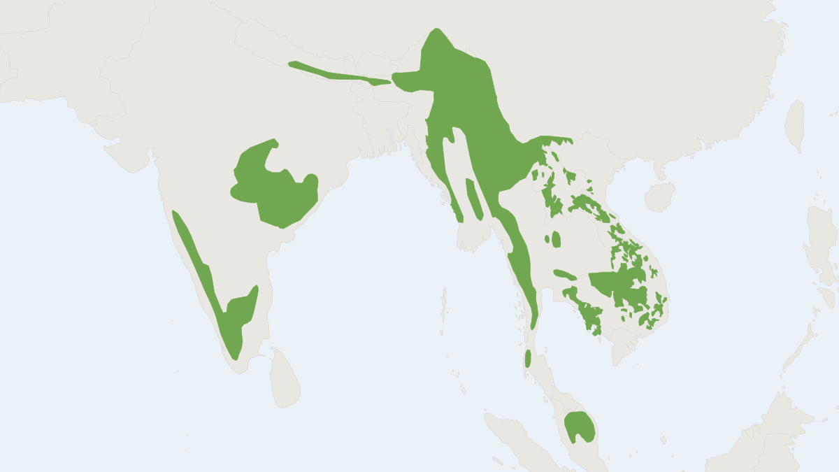 Range map of the Gaur (Bos gaurus) covering Bangladesh, Bhutan and Cambodia