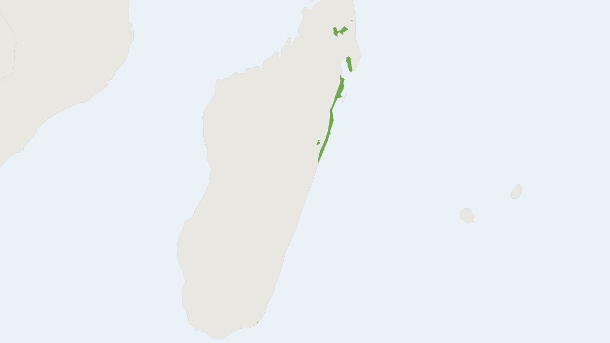 Range map of the Geoffroy's Dwarf Lemur (Cheirogaleus major)