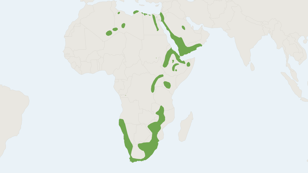 Range map of the Geoffroy's Horseshoe Bat (Rhinolophus clivosus)