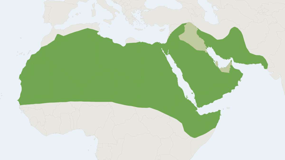 Range map of the Geoffroy's Trident Leaf-nosed Bat (Asellia tridens)