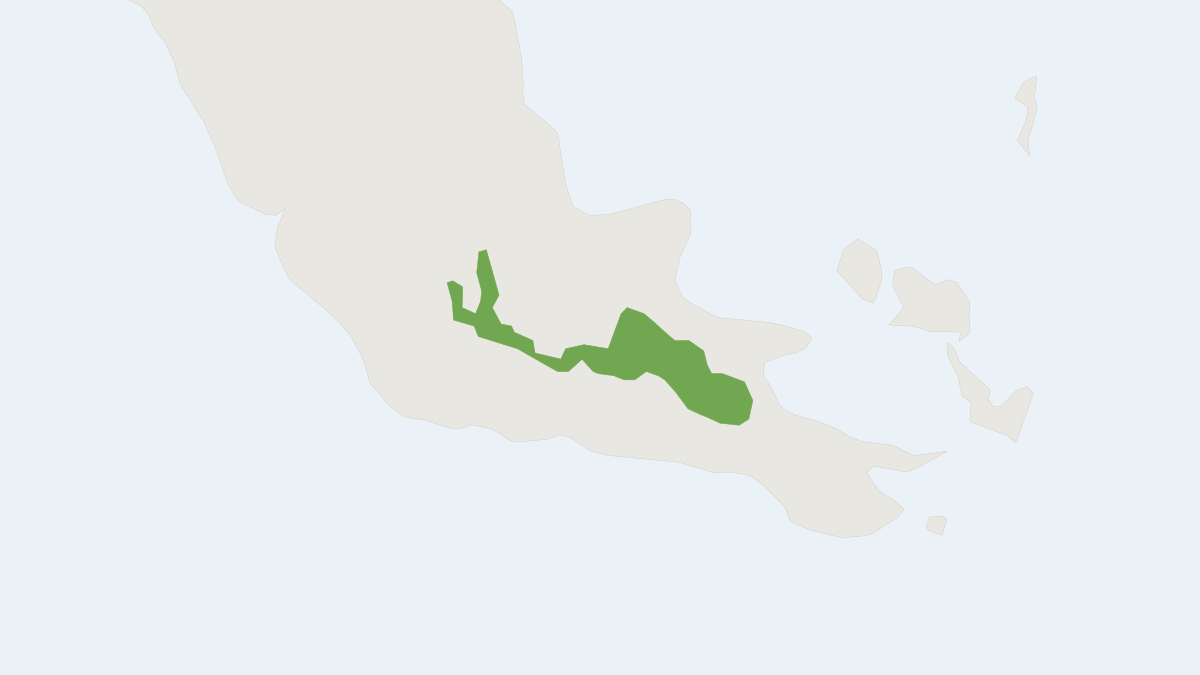 Range map of the German's One-toothed Moss Mouse (Pseudohydromys germani)