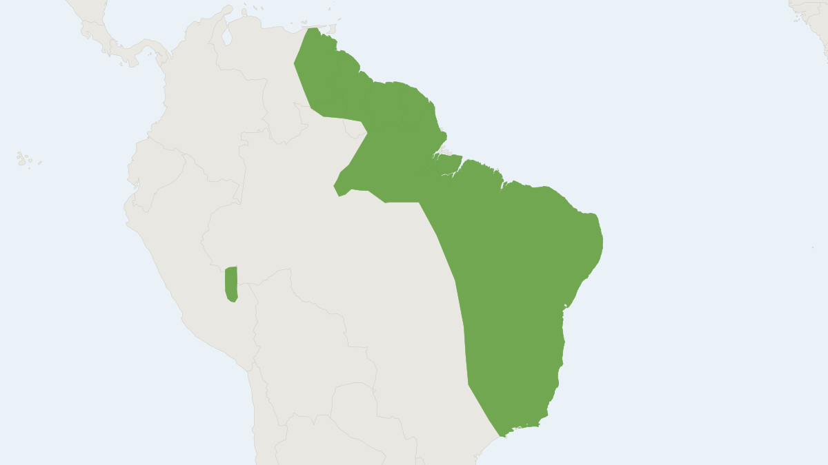 Range map of the Gervais's Fruit-eating Bat (Dermanura cinerea) covering Bolivia, Brazil and Colombia