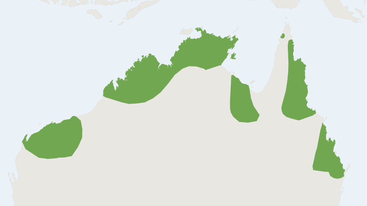 Range map of the Ghost Bat (Macroderma gigas)