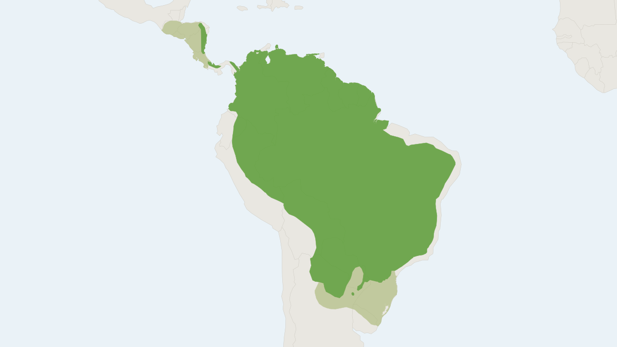 Range map of the Giant Anteater (Myrmecophaga tridactyla) covering Argentina, Bolivia and Brazil