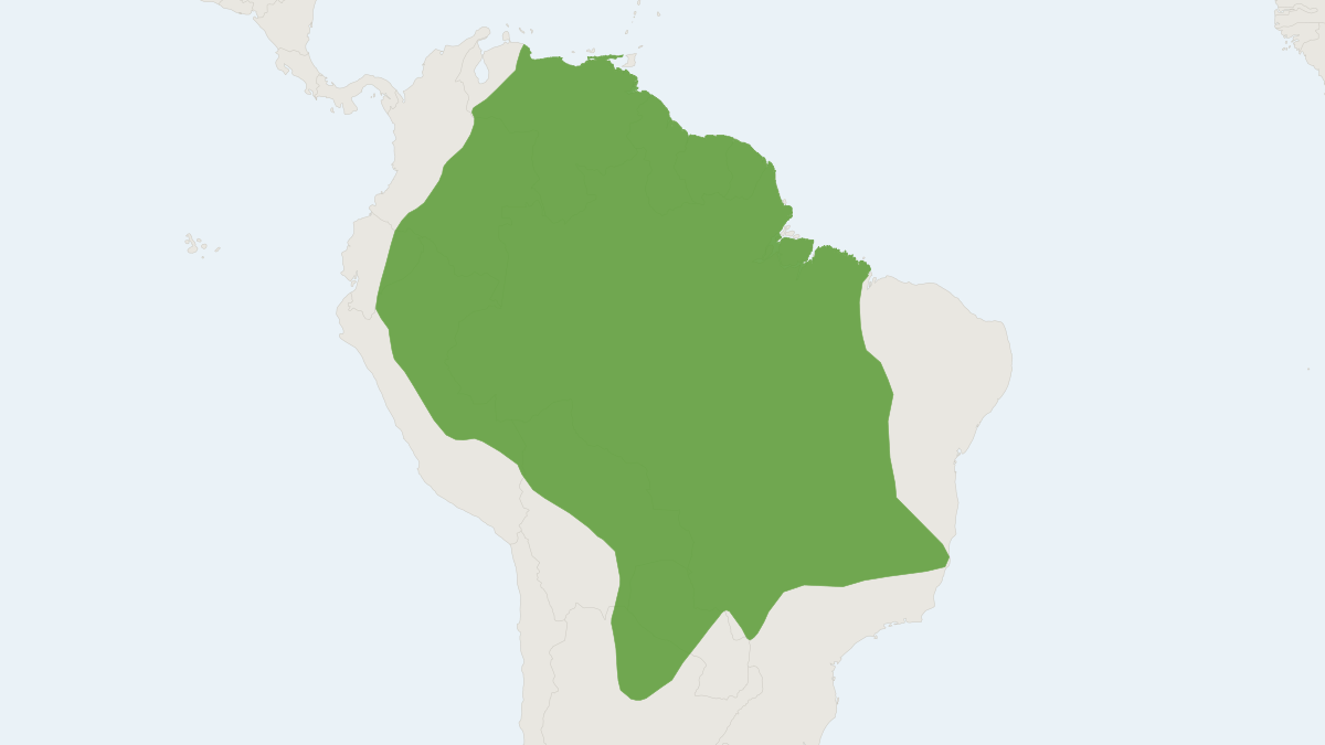 Range map of the Giant Armadillo (Priodontes maximus) covering Argentina, Bolivia and Brazil