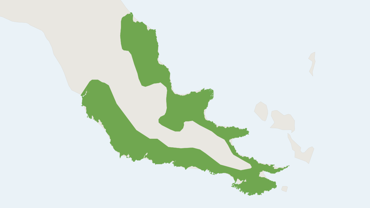 Range map of the Giant Bandicoot (Peroryctes broadbenti)