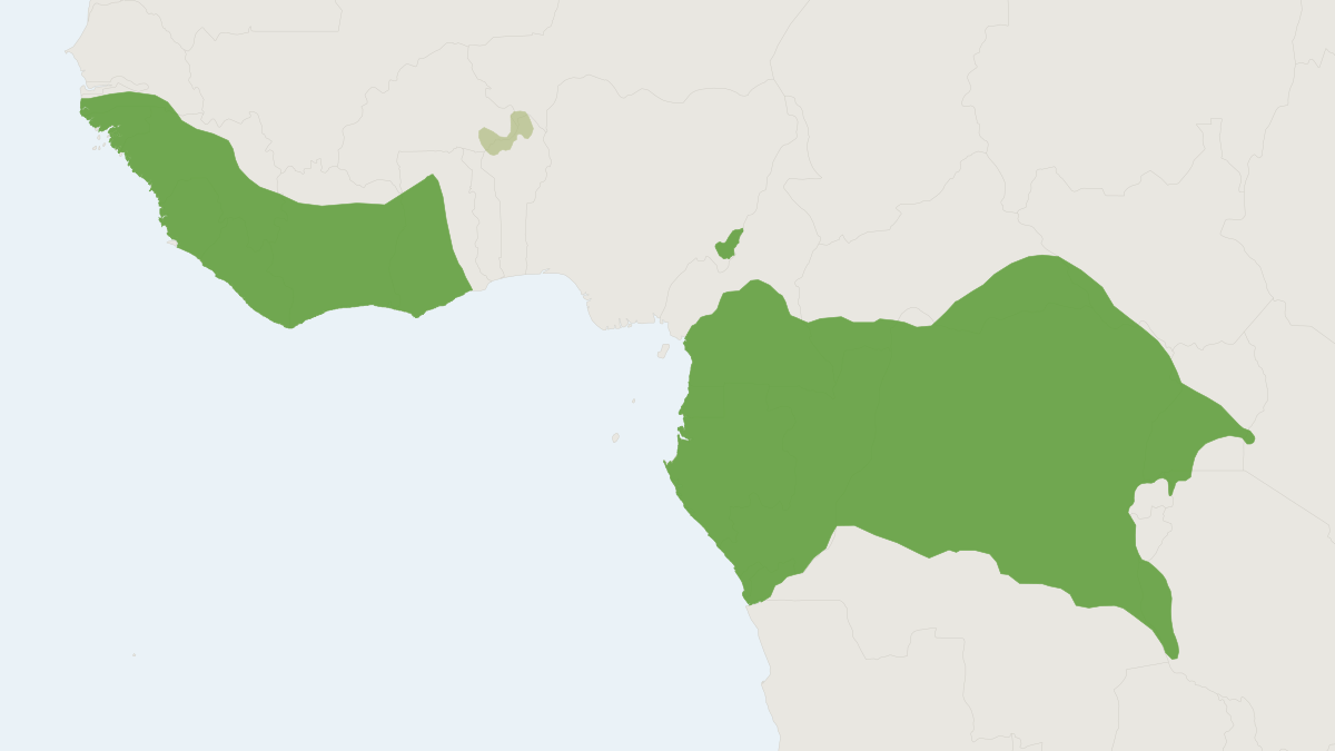 Range map of the Giant Ground Pangolin (Smutsia gigantea) covering Cameroon, Central African Republic and Democratic Republic