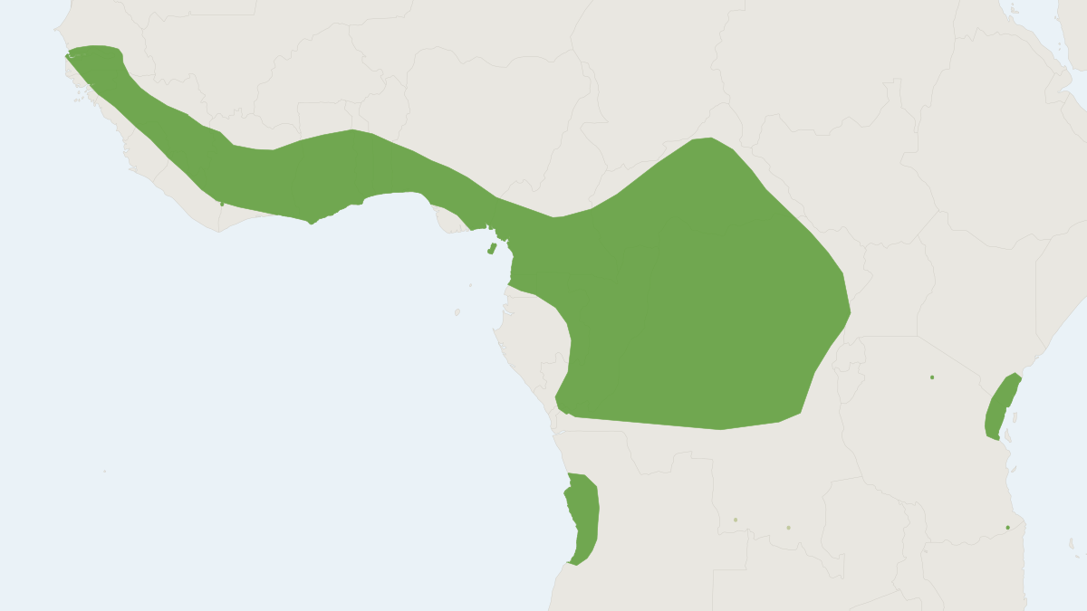 Range map of the Giant Leaf-nosed Bat (Macronycteris gigas)